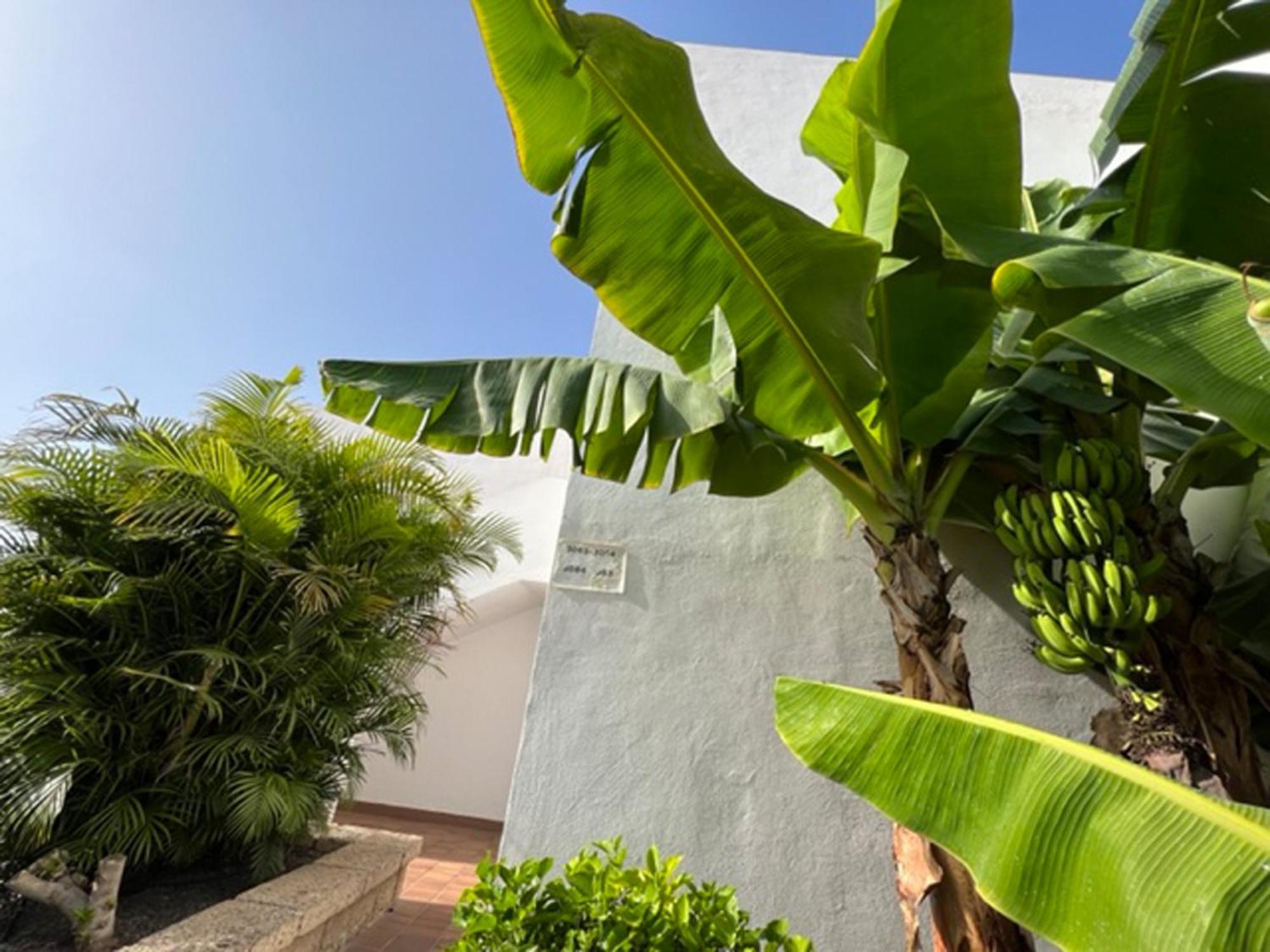 Apartament Malibu Blue Costa Adeje  Luaran gambar